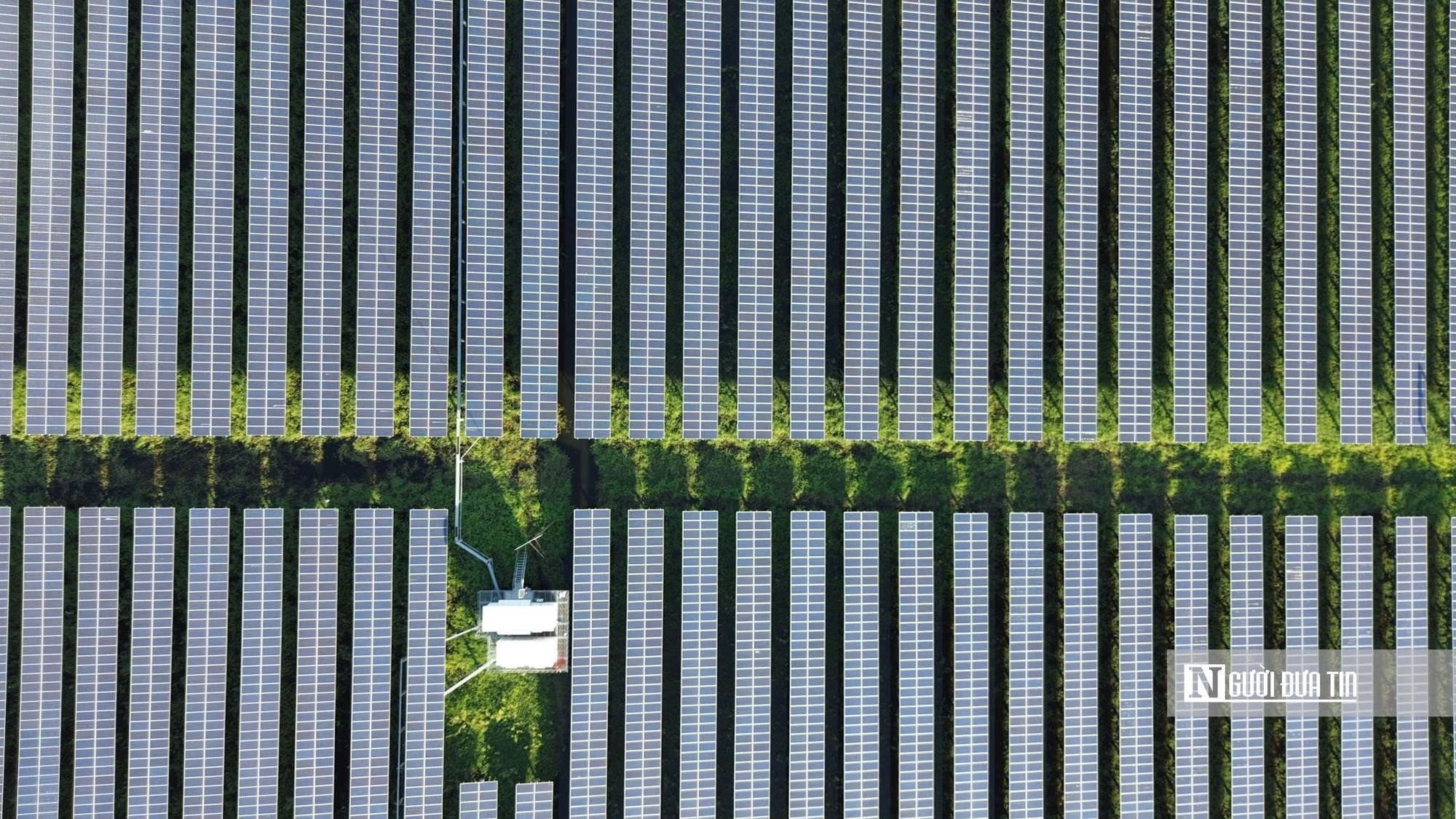 Cận cảnh “rừng pin” mặt trời trên hồ Dầu Tiếng - Ảnh 4.