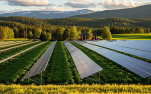 Cận cảnh “rừng pin” mặt trời trên hồ Dầu Tiếng - Ảnh 10.