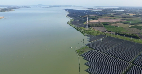 Hơn 1,3 triệu tấm pin tạo nên “rừng điện mặt trời” giữa hồ Dầu Tiếng